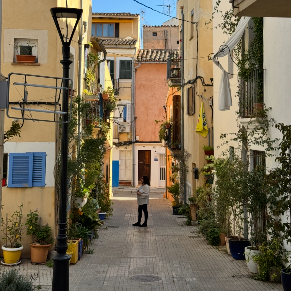 PALMA
